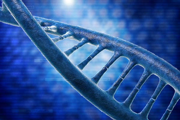 GMO detection(图1) GMO detection(图1)
